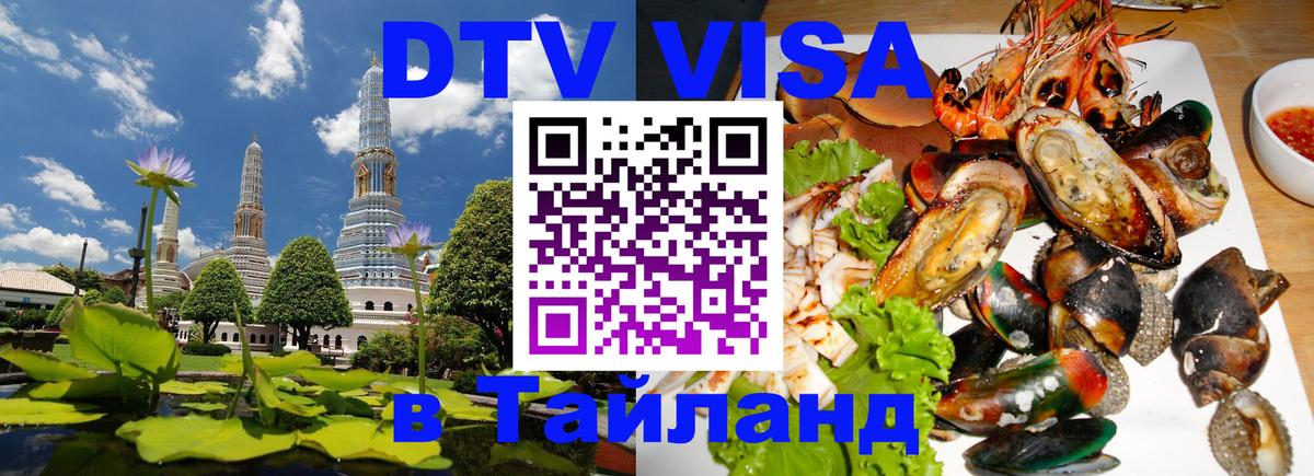 Оформление DTV визы под ключ: стоимость и тарифы, только загранпаспорт - Димитровград  03.10.2025 